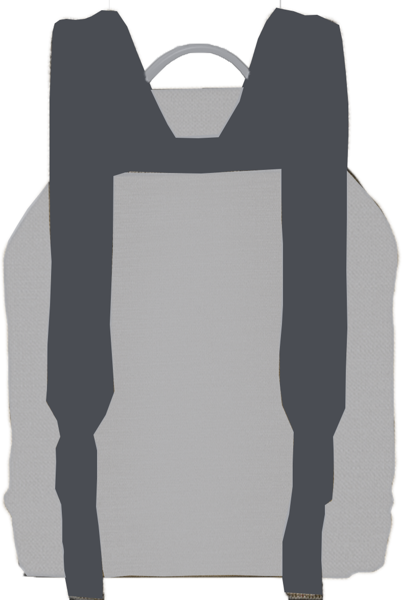 straps of the bag